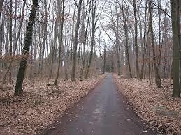 Stadspark van Frankfurt